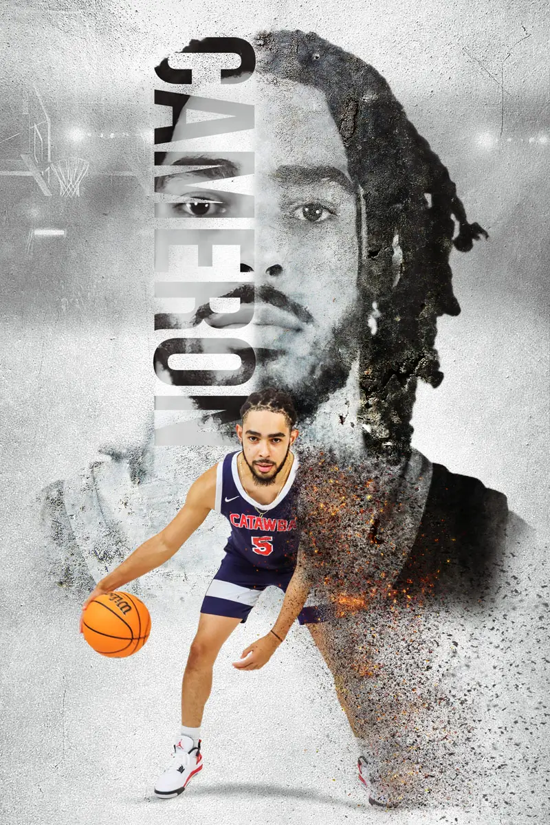 Professional Basketball collage design