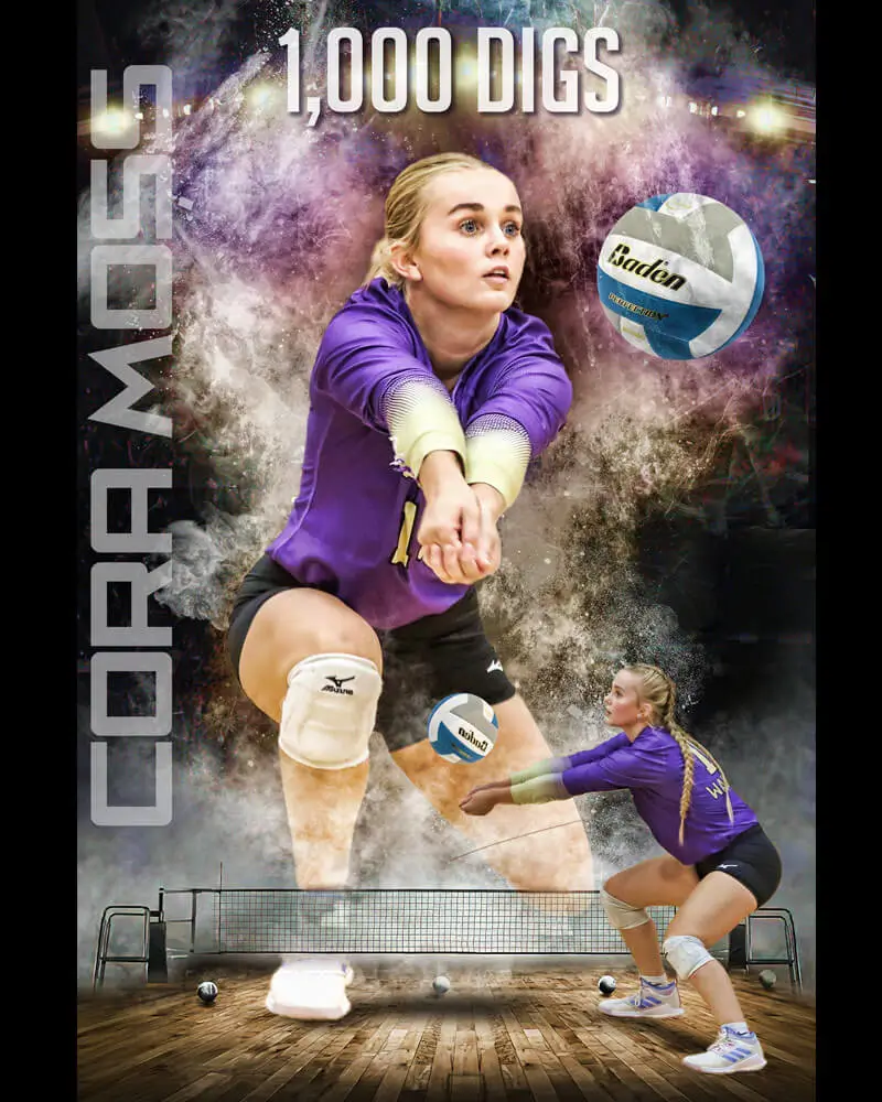 volleyball poster design digs